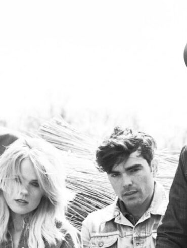 The Common Linnets