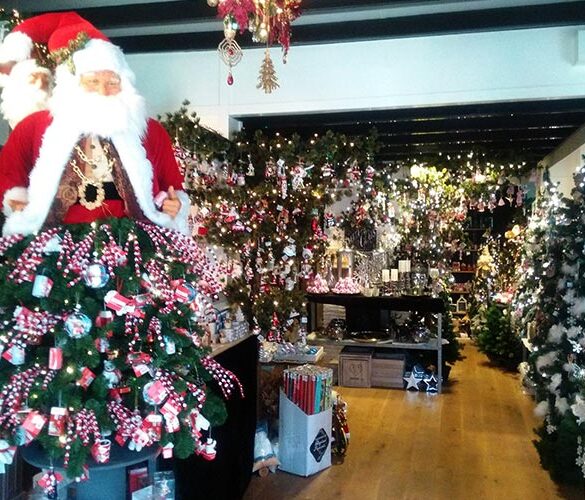 Kerstwinkel Alkmaar