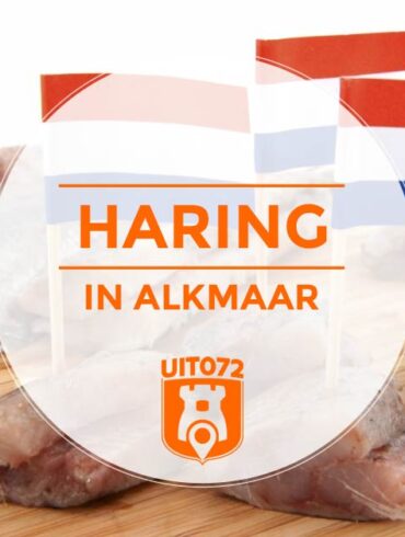 Haring in Alkmaar