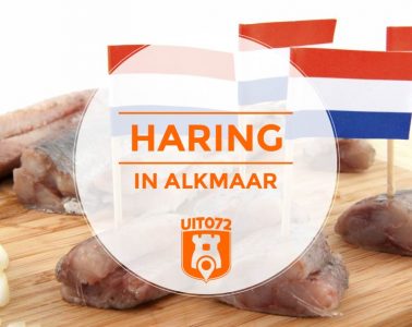 Haring in Alkmaar