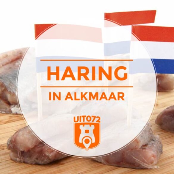 Haring in Alkmaar