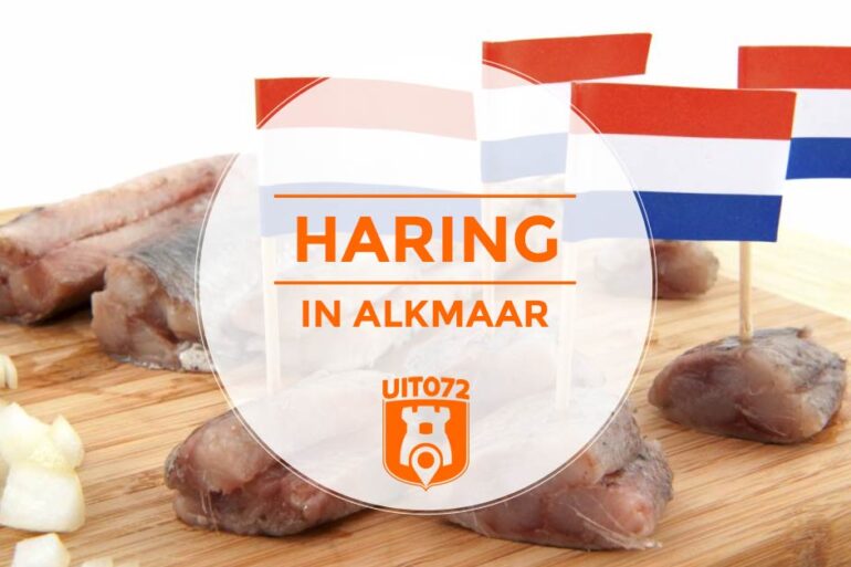 Haring in Alkmaar