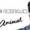 Sam Rodrigues