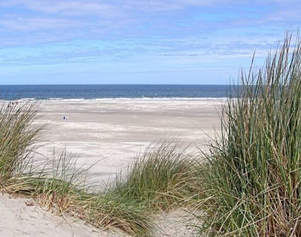 Header-Hargen-Schoorl