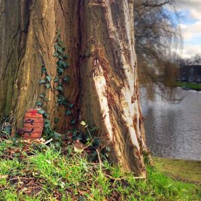 Elfendeurtje Kennemerpark Alkmaar