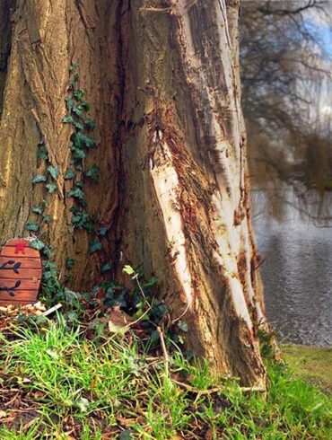 Elfendeurtje Kennemerpark Alkmaar
