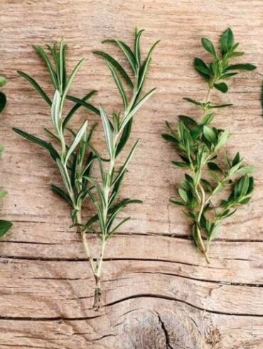 Italiaanse avond Granada