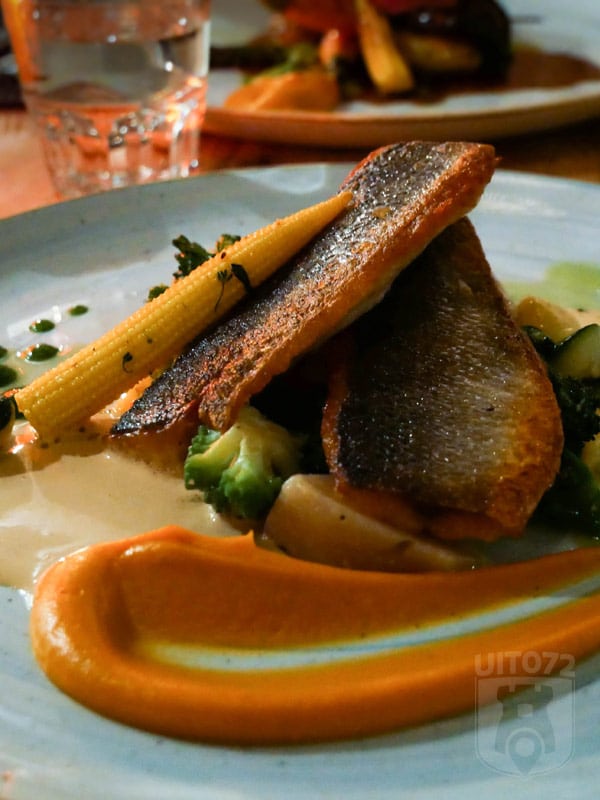 herberg-jan-heiloo-roodbaars-close