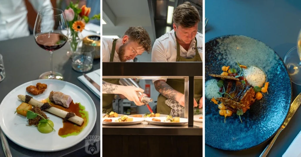 Fnidsen header (collage)