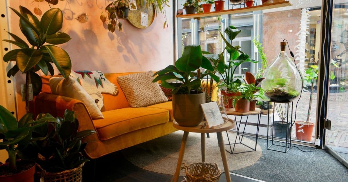 Bloosom - het leukste groene winkeltje