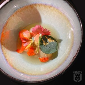 Noorderlicht - appel kombucha