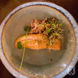 Noorderlicht - zeebaars