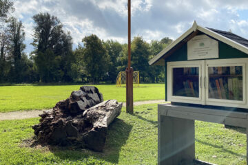 Mini bibliotheek in park De Kleine Kwekerij (Alkmaar)