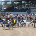 Paardenraces bij Drafbaan Alkmaar